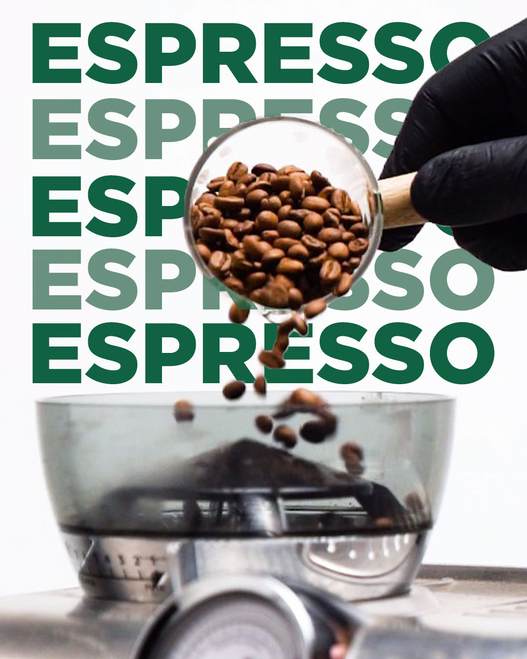 Caffeine & Co Brazil Whole Bean