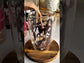 Chocolate Frappe & Fudge Sauce Bundle